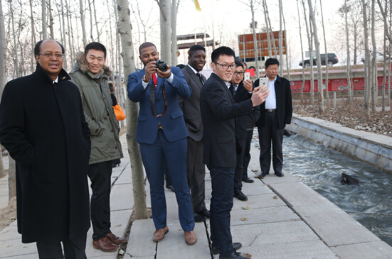 徒河黑豬快活林