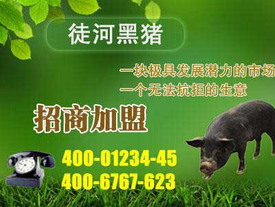 招商加盟好項目