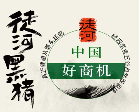 加盟什么項目好