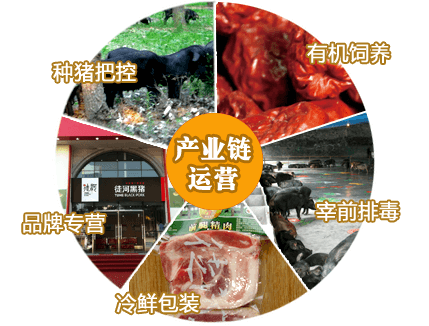 產(chǎn)業(yè)運(yùn)營鏈