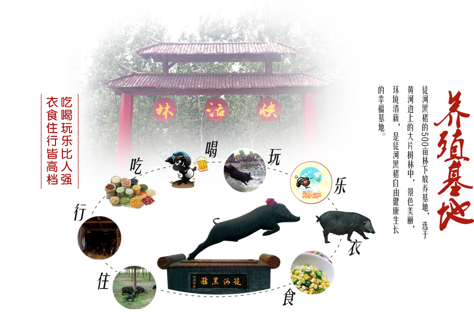 吃喝玩樂(lè)比人強(qiáng)，衣食住行皆高檔