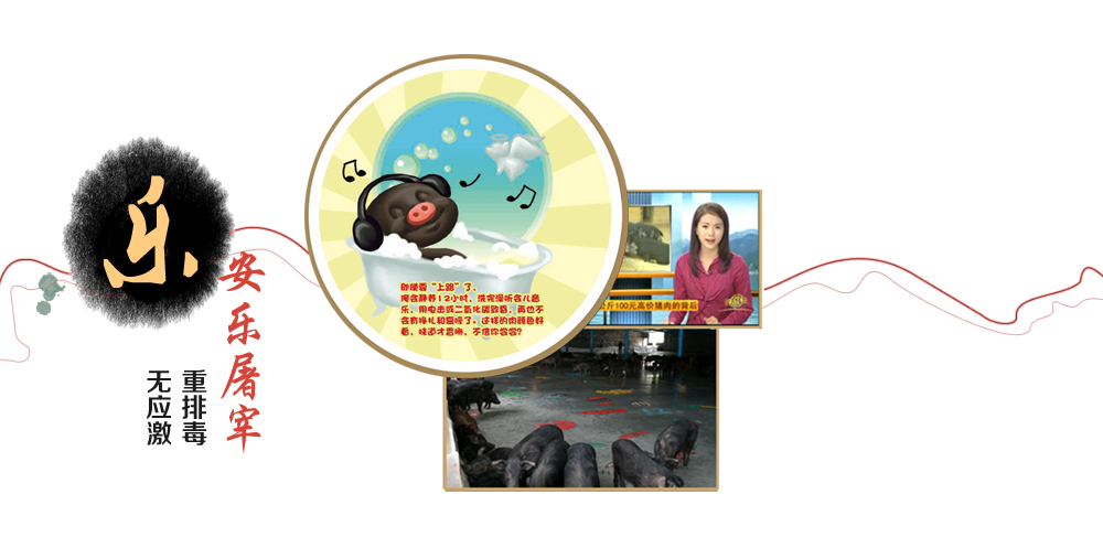 安樂(lè)屠宰無(wú)應(yīng)激重排毒