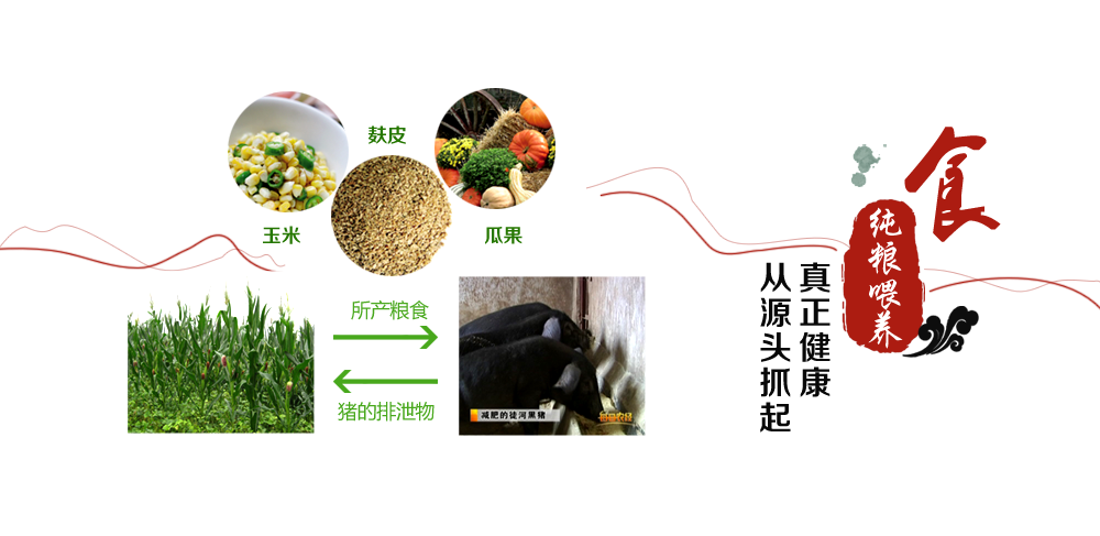 純良喂養(yǎng)，真正健康從源頭抓起