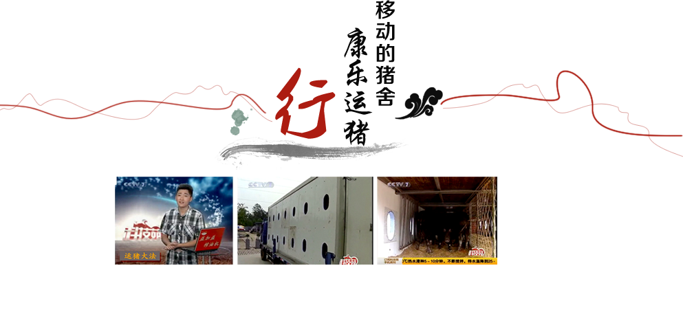 康樂(lè)運(yùn)豬